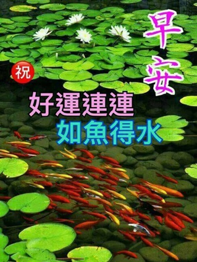 按我可連結至更清楚的圖片
